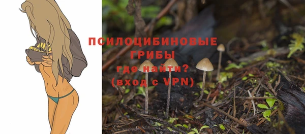 гашик Абинск
